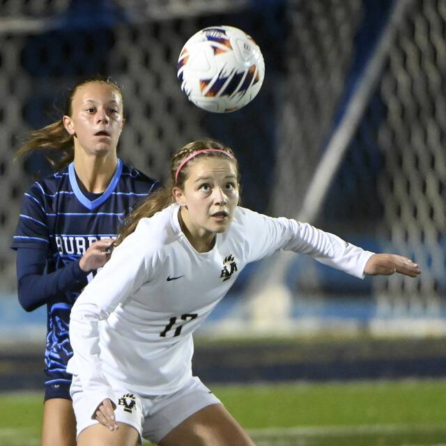 8972896_web1_ptr-BurrellBVAgsoc06-102225