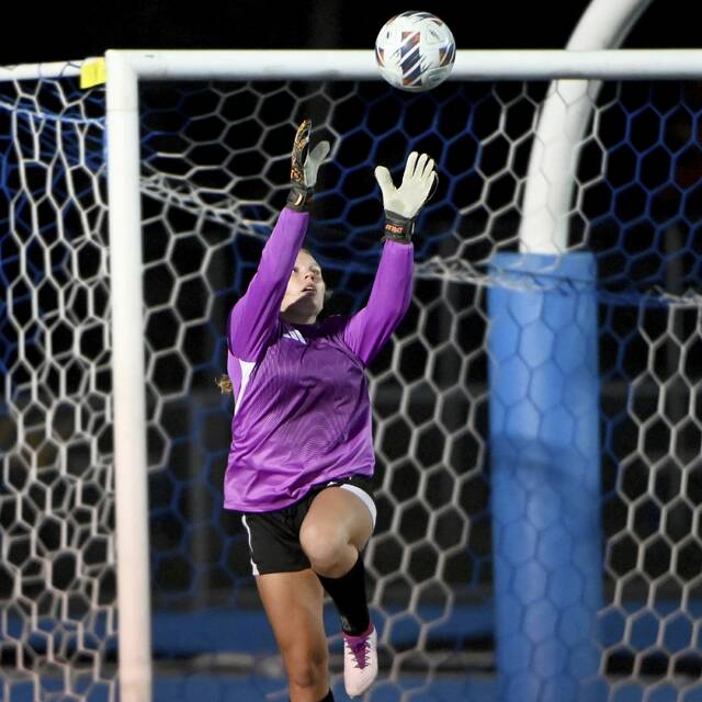 8972896_web1_ptr-BurrellBVAgsoc08-102225