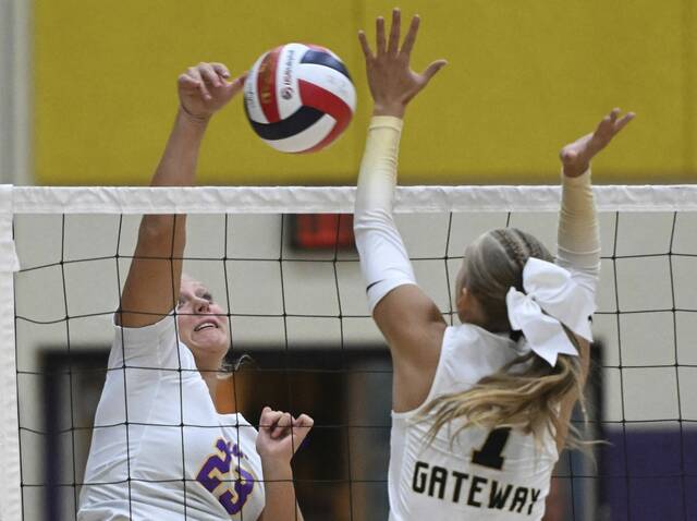 8977580_web1_pal-PlumVolley03-082925