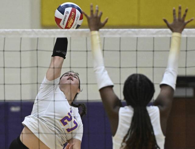 8977580_web1_pal-PlumVolley04-082925