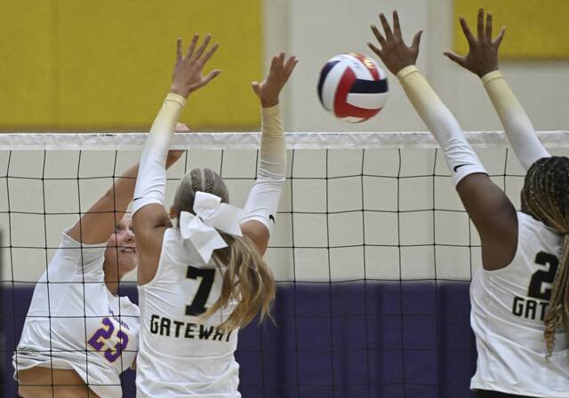 8977580_web1_pal-PlumVolley10-082925