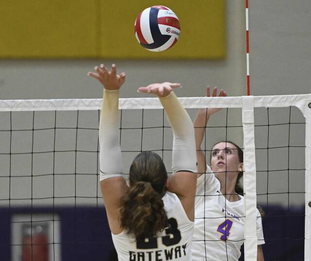 8977580_web1_pal-PlumVolley11-082925