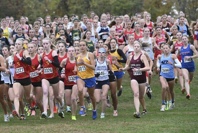 8981065_web1_gtr-2AWPIALXO06-102425