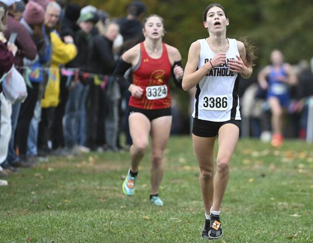 8981065_web1_gtr-2AWPIALXO09-102425