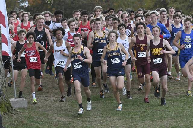 8981069_web1_gtr-AWPIALXO01-102425