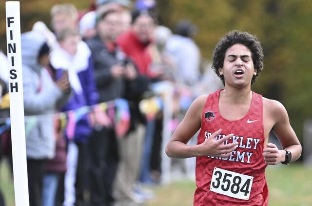 8981069_web1_gtr-AWPIALXO03-102425