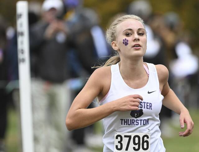 8981069_web1_gtr-AWPIALXO10-102425