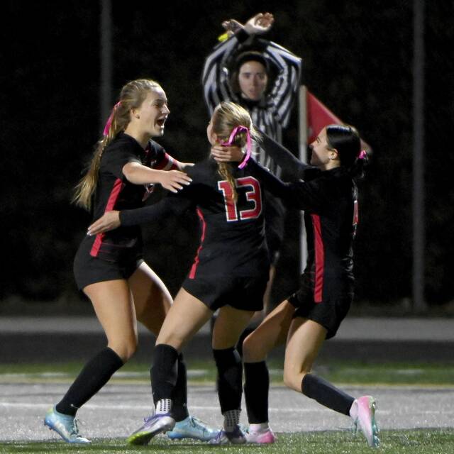 8992278_web1_ptr-FCPlumgsoc06-102825