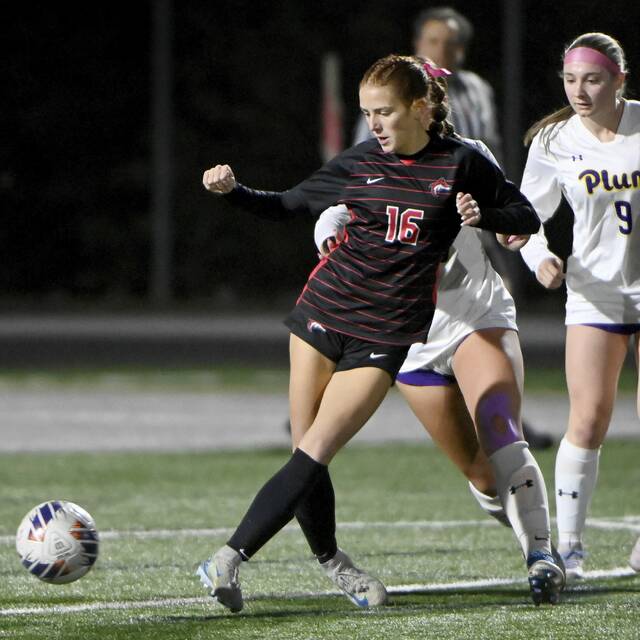 8992278_web1_ptr-FCPlumgsoc10-102825