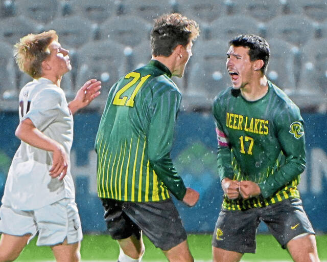 8999003_web1_ptr-DLBeaver01-103025