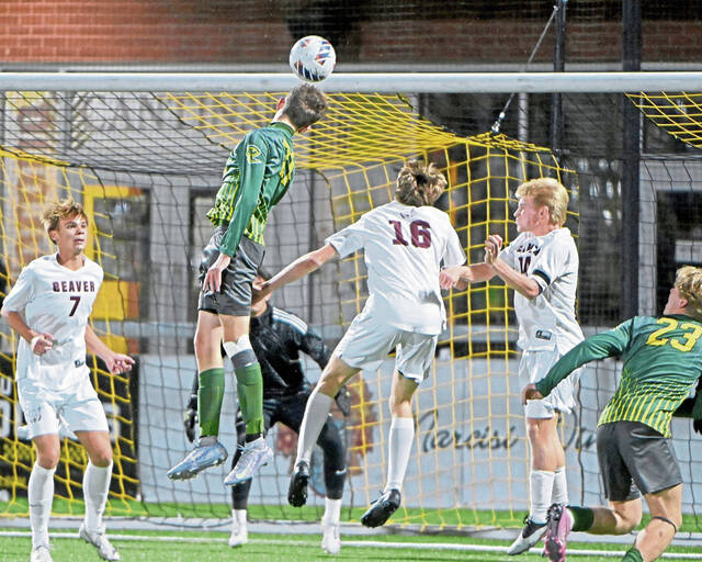 8999003_web1_ptr-DLBeaver03-103025