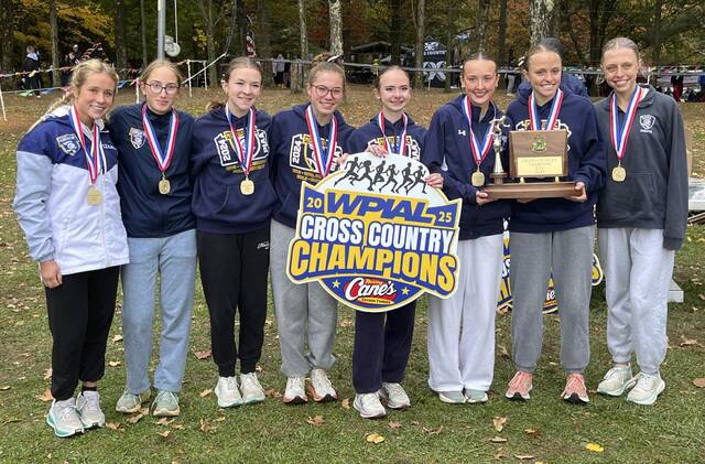 8999855_web1_gtr-3AWPIALXO09-102425