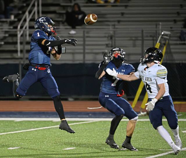 9006662_web1_vnd-KiskiShaler11-110125