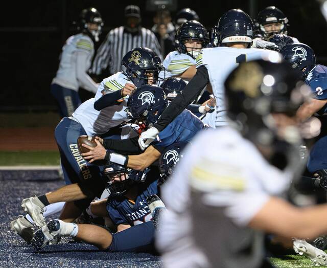 9006662_web1_vnd-KiskiShaler12-110125