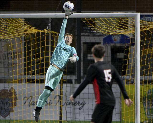 9006688_web1_ptr-FCSVbsoc06-110125