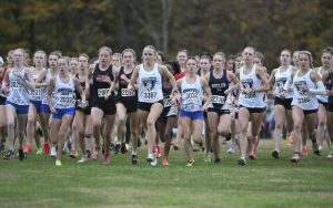 Norwin’s Anna Dansak paces the group during the start of the WPIAL Class 3A cross country championships Oct. 23.