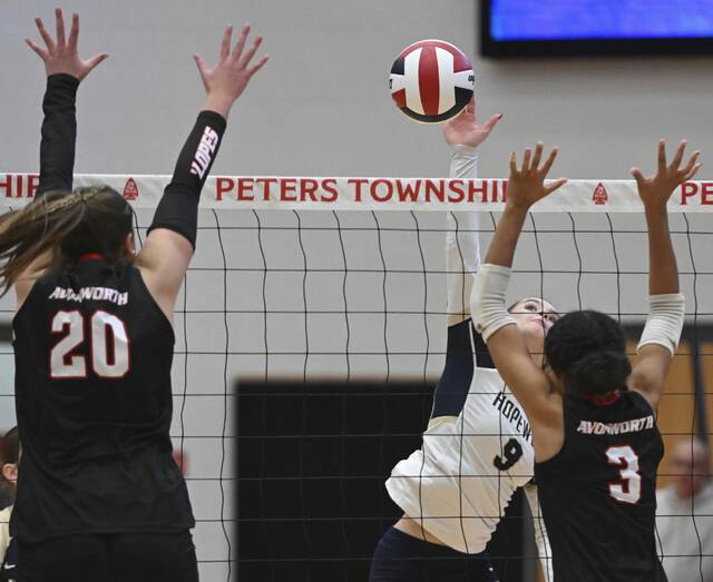 9009103_web1_ptr-AvonHope24-110225