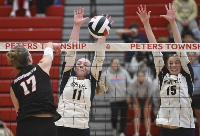 9009103_web1_ptr-AvonHope25-110225