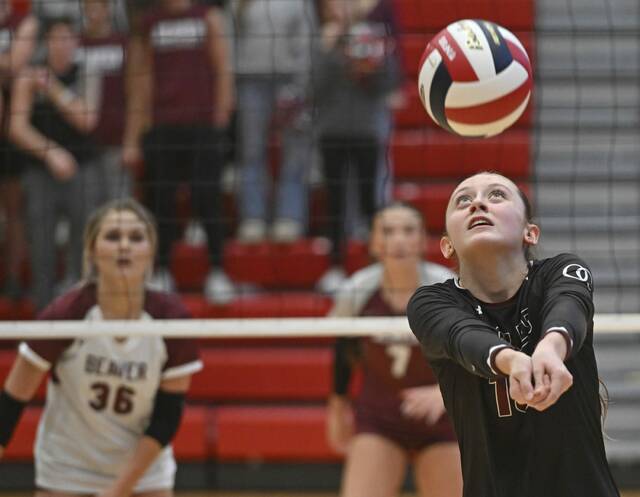 9009106_web1_ptr-BeaverOC04-110225