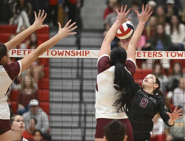 9009106_web1_ptr-BeaverOC14-110225