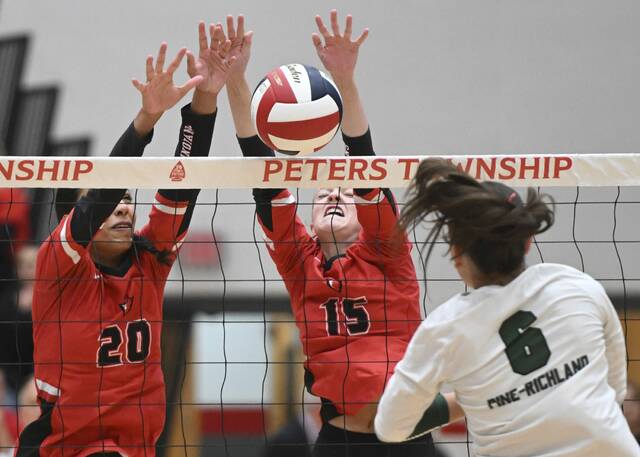 9009109_web1_ptr-PTPine03-110225