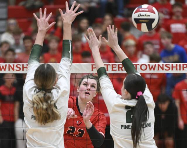 9009109_web1_ptr-PTPine04-110225