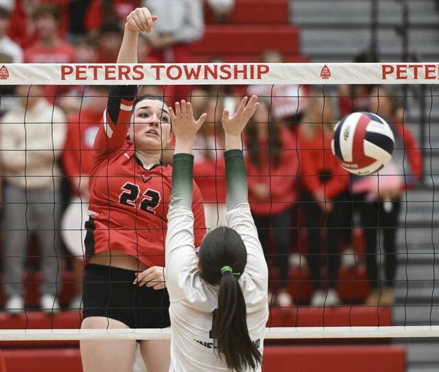 9009109_web1_ptr-PTPine05-110225