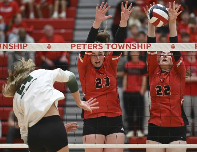 9009109_web1_ptr-PTPine06-110225