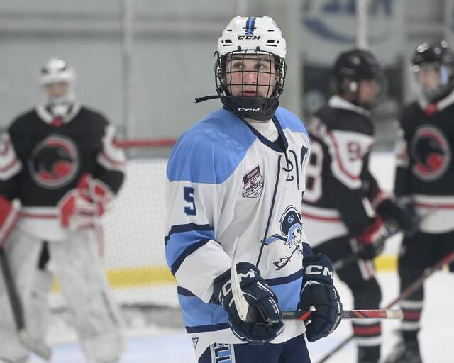 9025278_web1_ptr-HSroundup01-110725