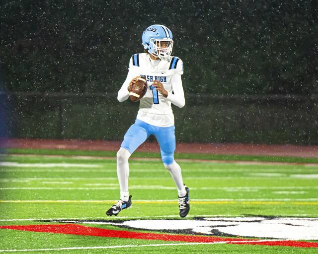 9028571_web1_ptr-SAWash06-110825