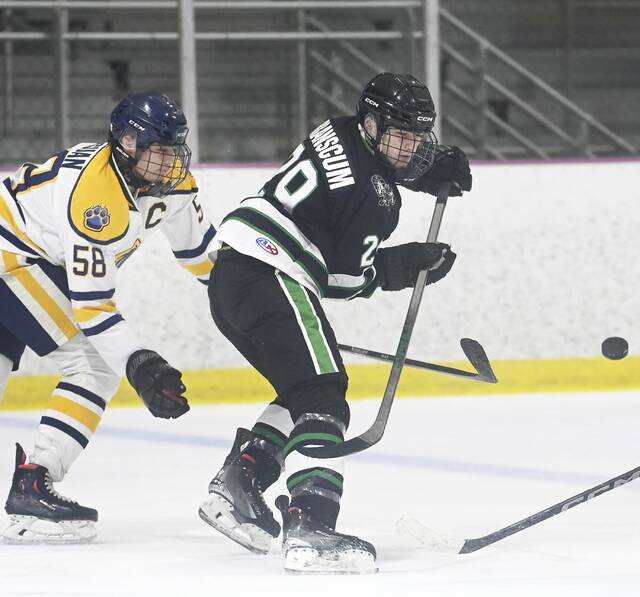 9034439_web1_gtr-HSroundup03-111125