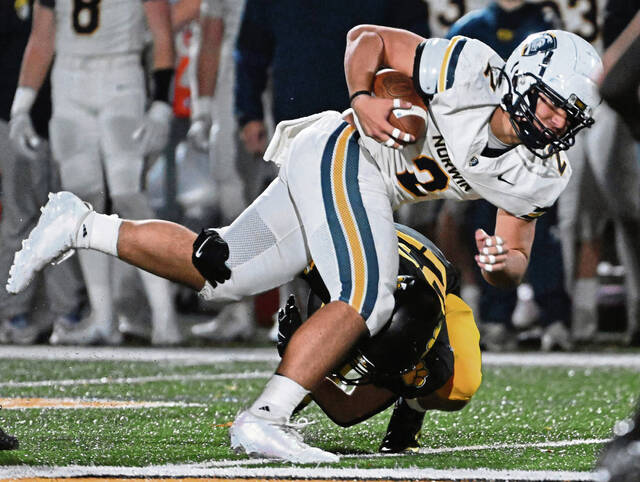 9035311_web1_gtr-NorwinNA10-110825