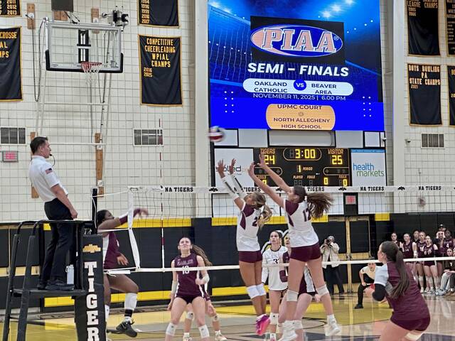 9036890_web1_ptr-OCBeaver11-111225