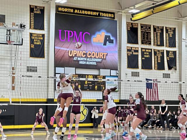 9036890_web1_ptr-OCBeaver12-111225