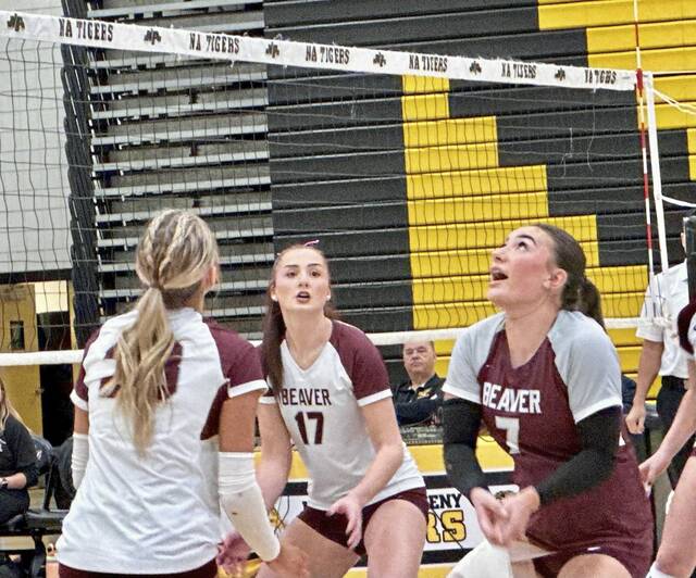 9036890_web1_ptr-OCBeaver3-111225