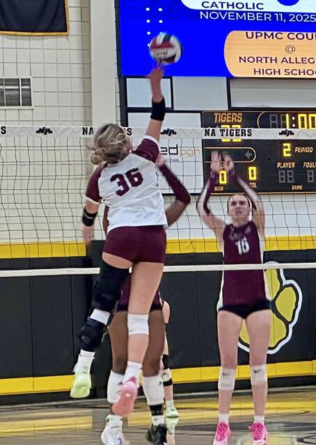 9036890_web1_ptr-OCBeaver7-111225