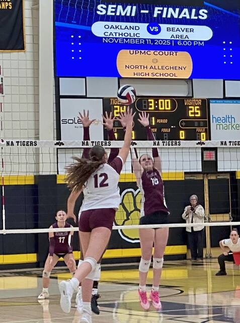 9036890_web1_ptr-OCBeaver8-111225