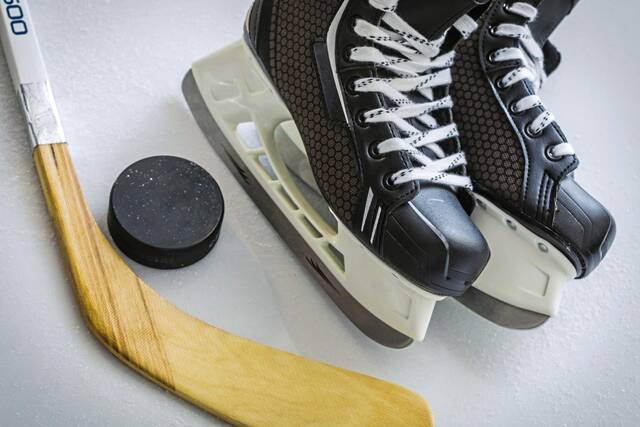 9043799_web1_hockeystock2