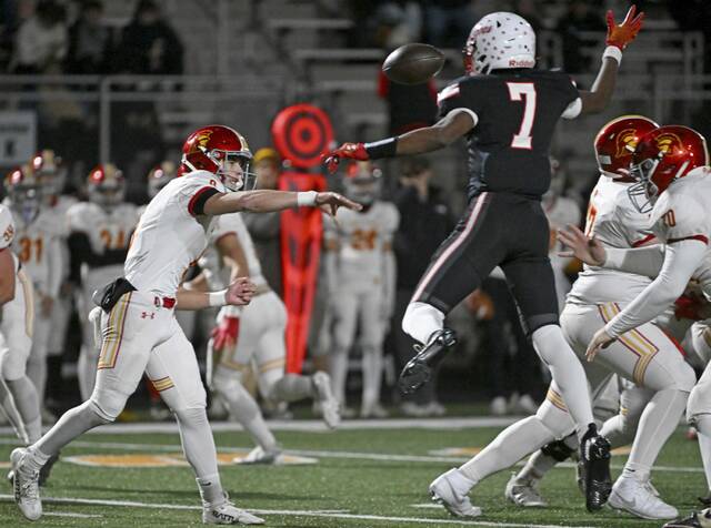 9047403_web1_ptr-AvonNC13-111525