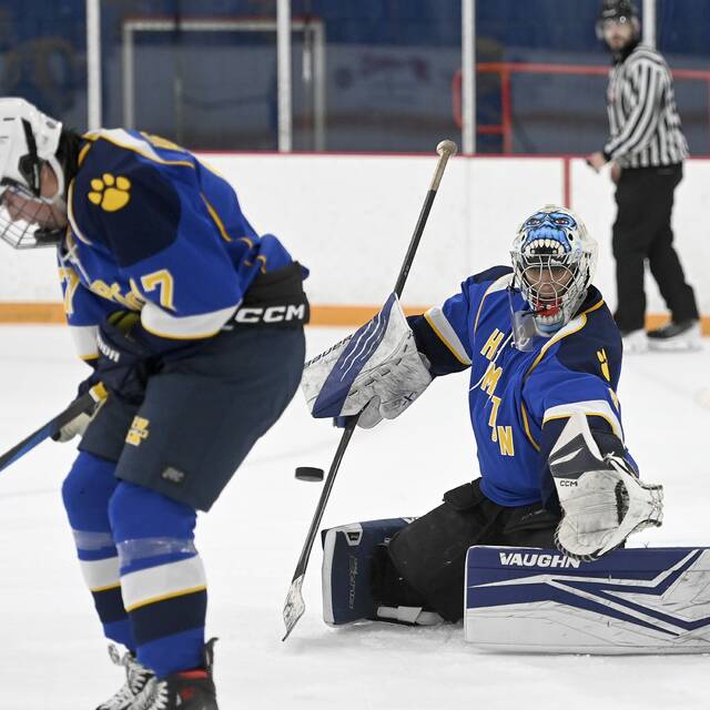 9064315_web1_hj-Hamptonhockey-02