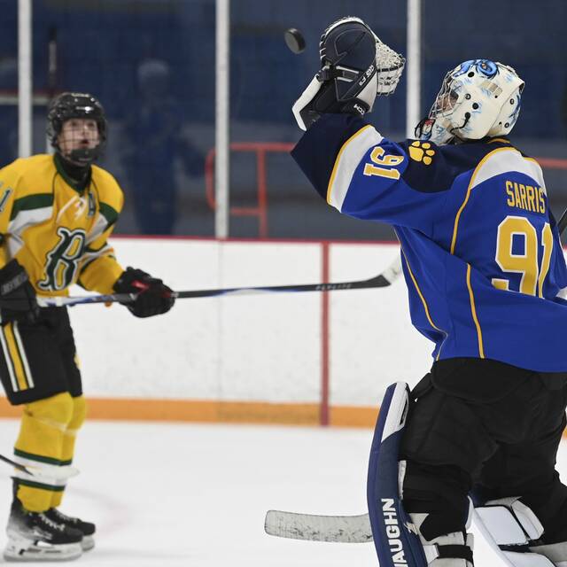 9064315_web1_hj-Hamptonhockey-03