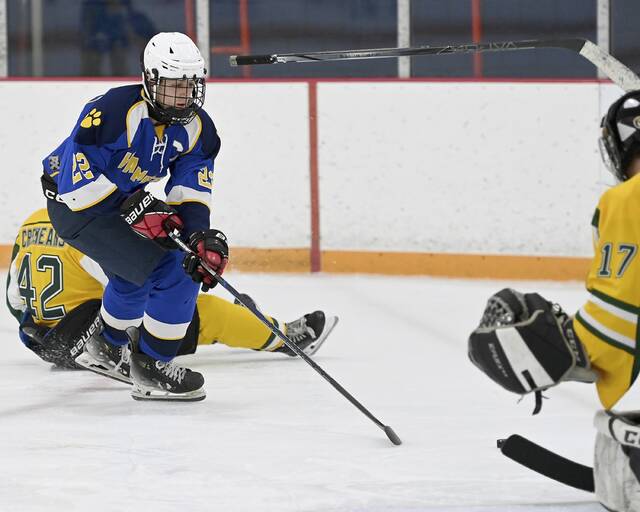 9064315_web1_hj-Hamptonhockey-05