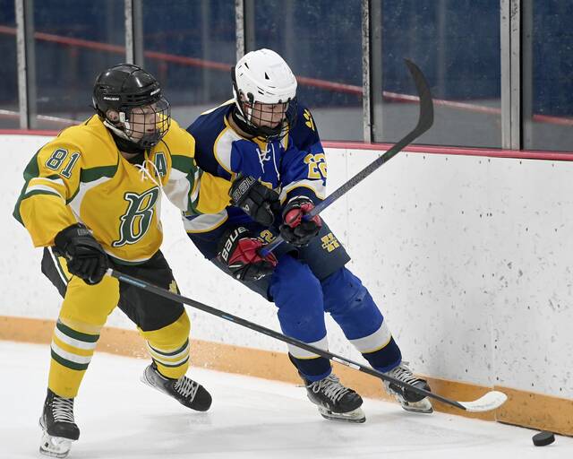 9064315_web1_hj-Hamptonhockey-06