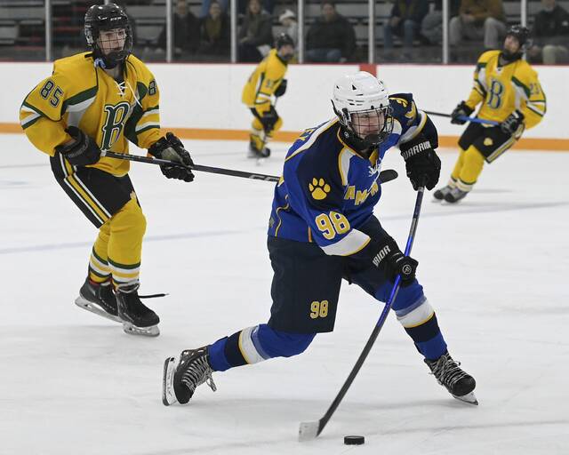 9064315_web1_hj-Hamptonhockey-07