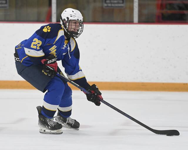 9064315_web1_hj-Hamptonhockey-08