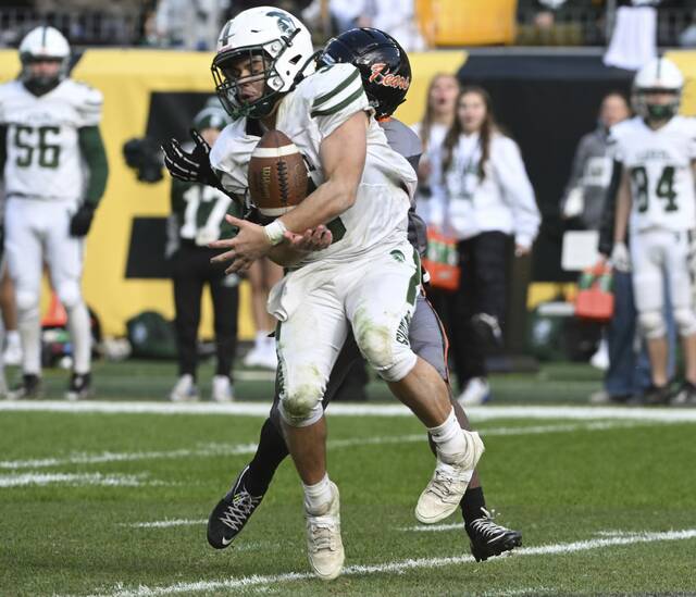 9070016_web1_ptr-ClairtonLaurel10-112325