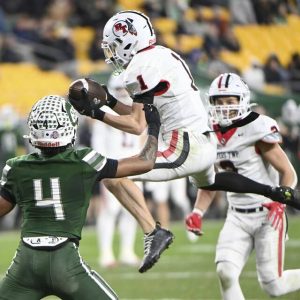 Peters Township’s Jeremy Poletti intercepts a pass intended for Pine-Richland’s Jay Timmons during the WPIAL Class 5A championship game on Saturday, Nov. 22, 2025, at Acrisure Stadium.