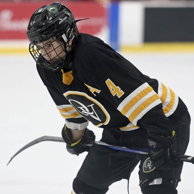 9074614_web1_ptr-QVMoonhockey07-112525