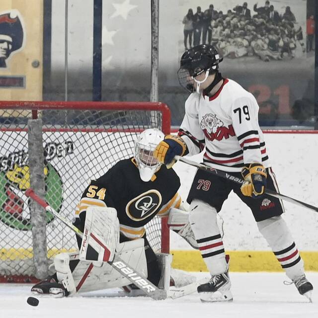 9074614_web1_ptr-QVMoonhockey09-112525