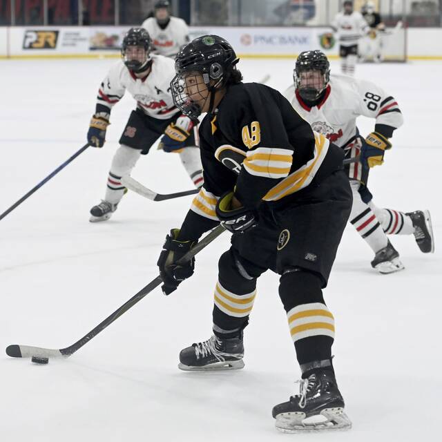 9074614_web1_ptr-QVMoonhockey10-112525